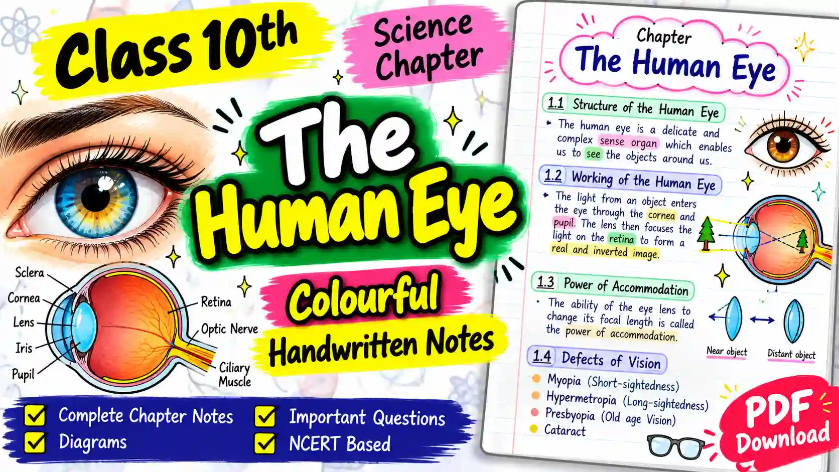 The Human Eye and the Colourful World Handwritten Notes